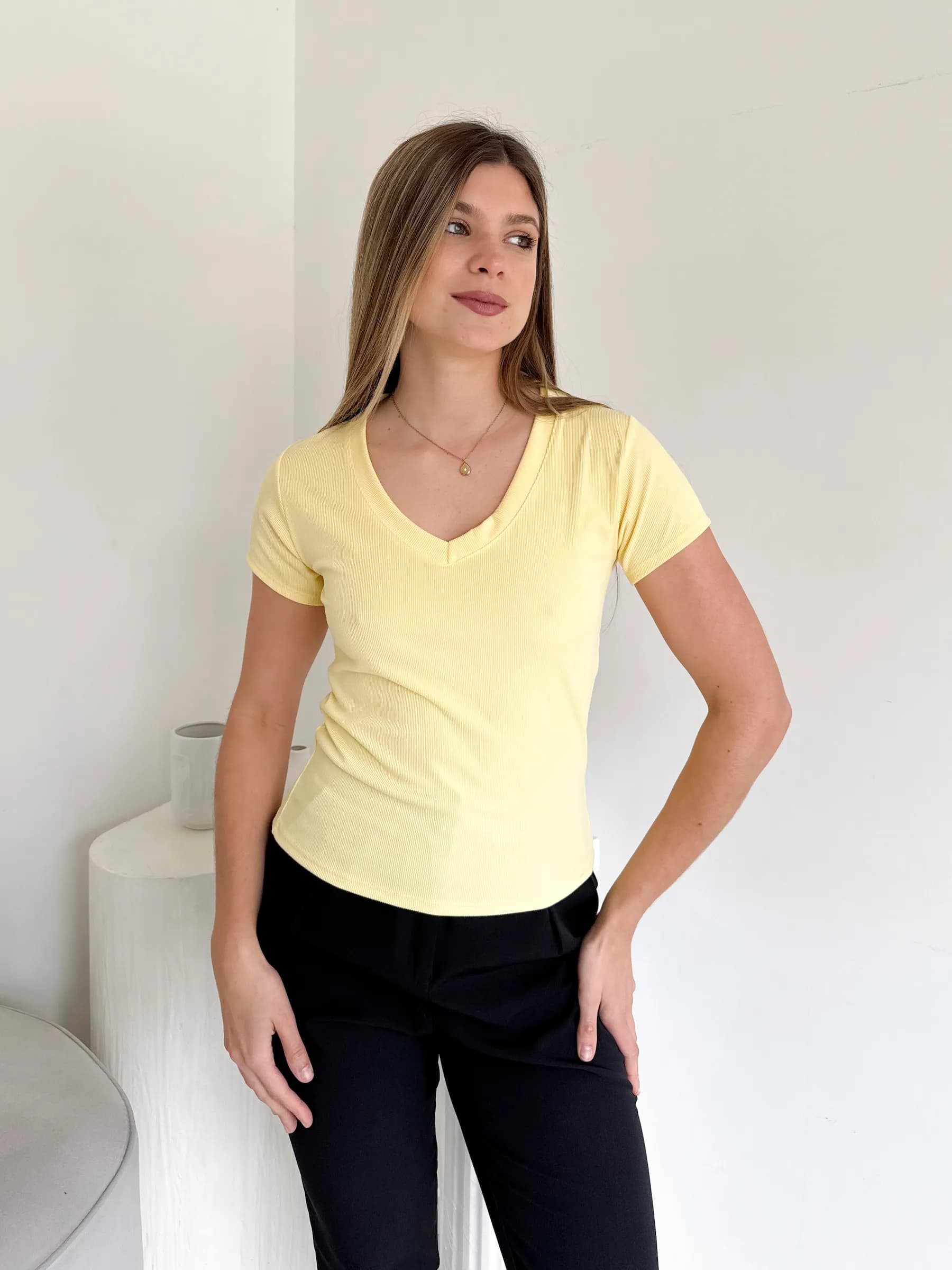 Remera Ariel